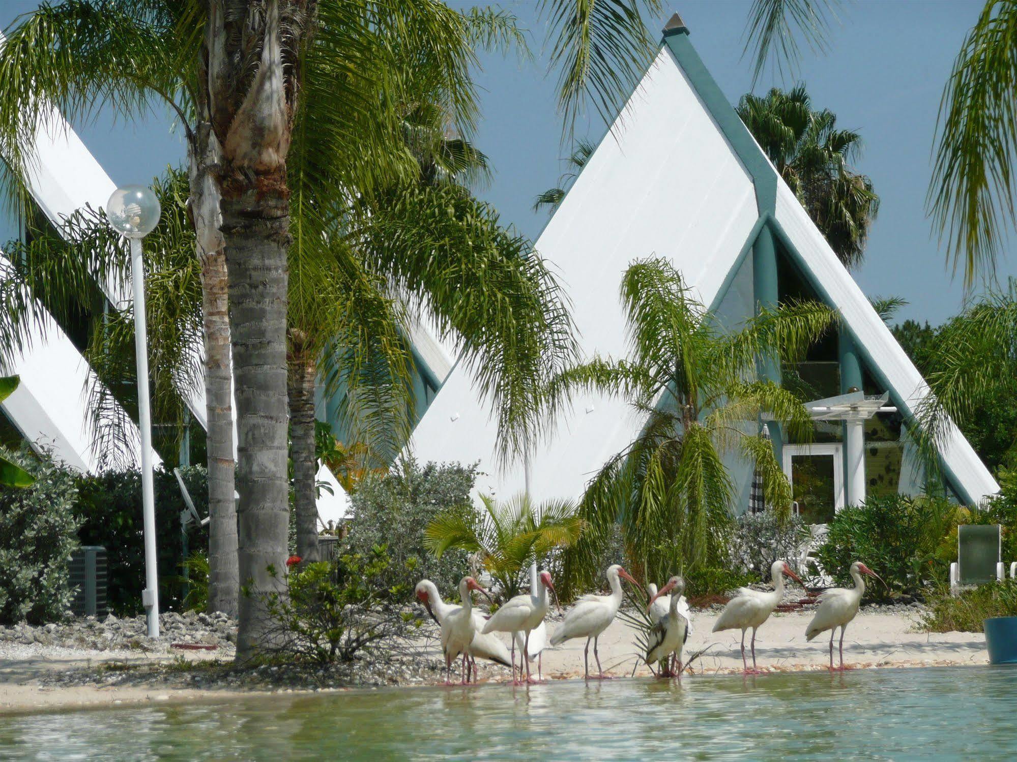 Pyramids In Florida Hotell Estero Eksteriør bilde
